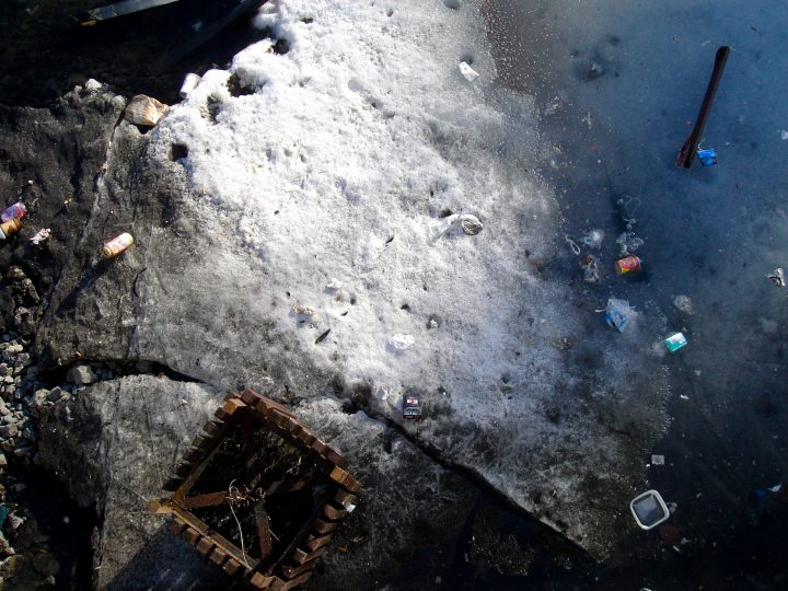 Detritus