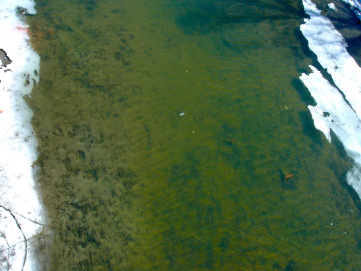 Untitled Photo 39