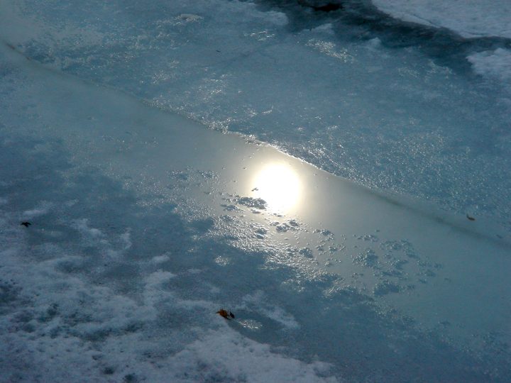 Untitled Photo 172