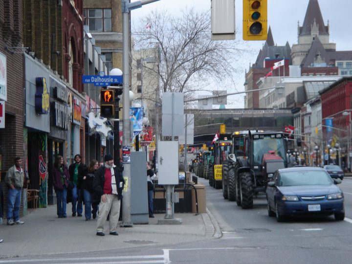DSC07351