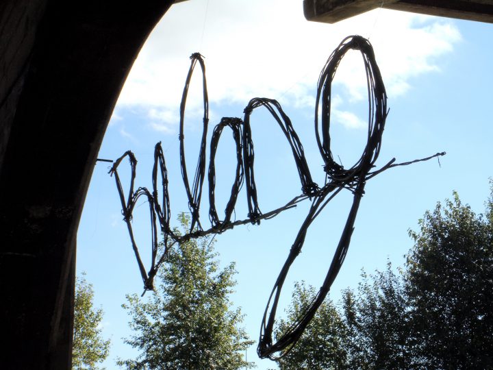 Belong