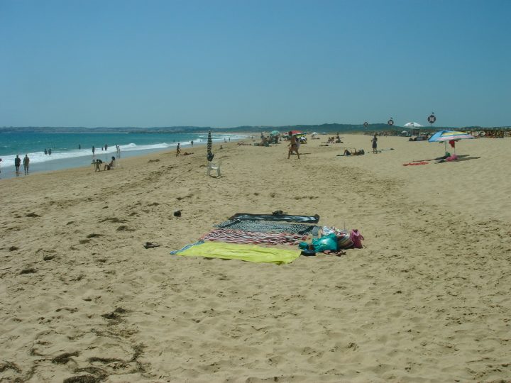 DSC06124.JPG