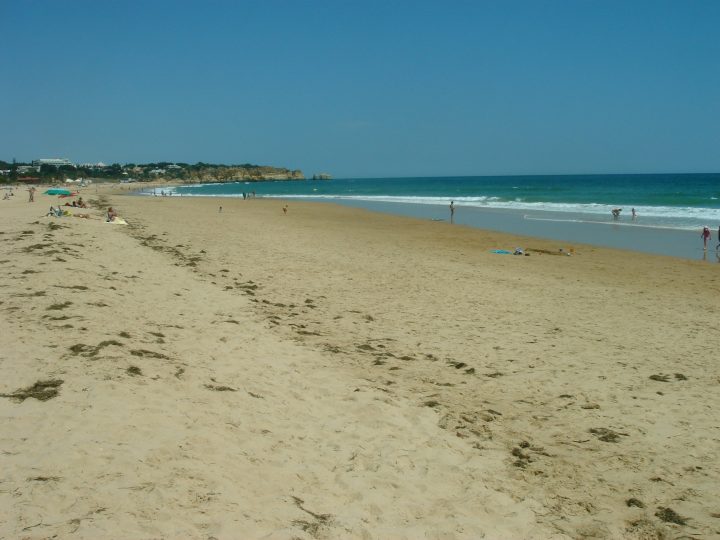 DSC06125.JPG