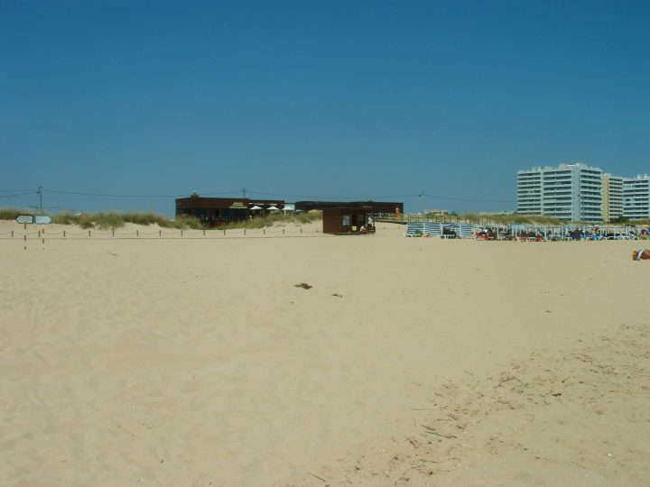DSC06126.JPG