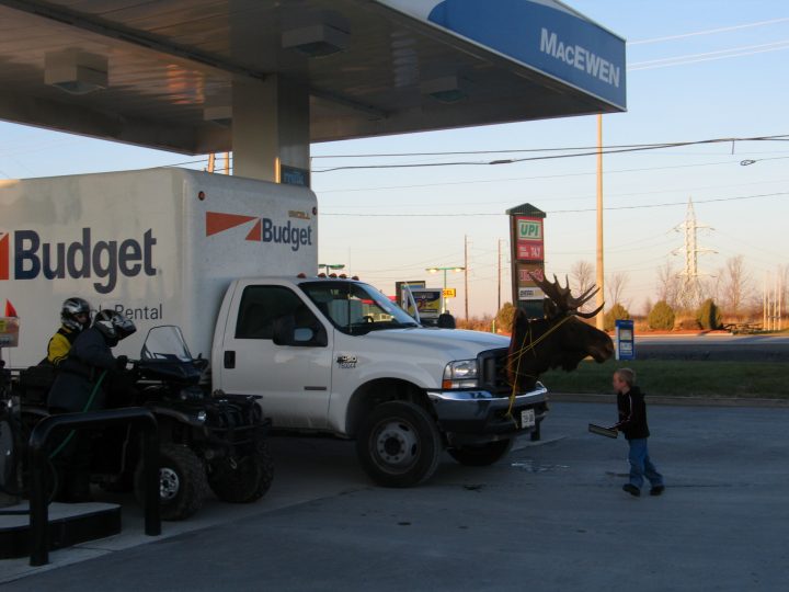 Moving a Moose