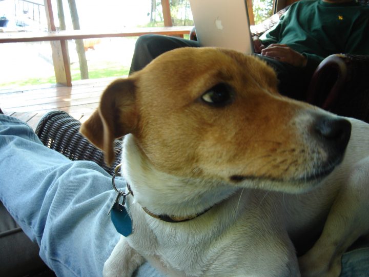 DSC00429