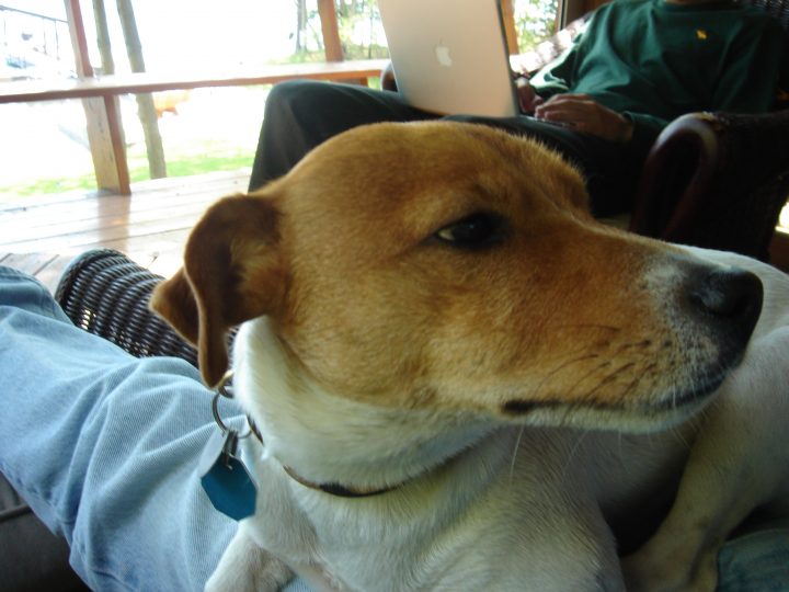 DSC00428