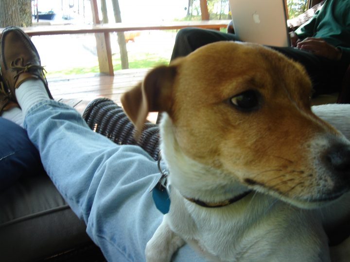 DSC00427