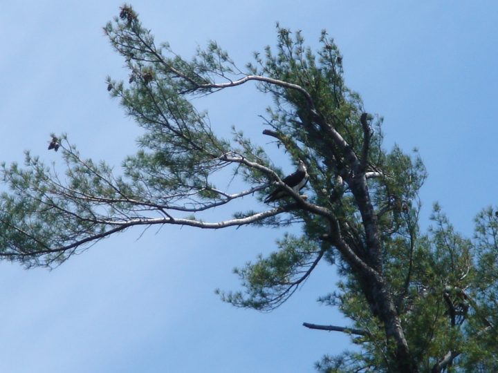 DSC00421