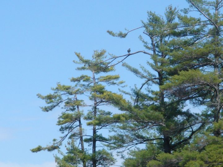 DSC00411