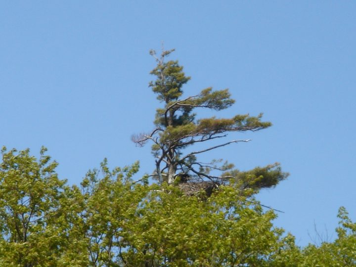 DSC00408