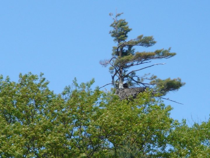 DSC00407