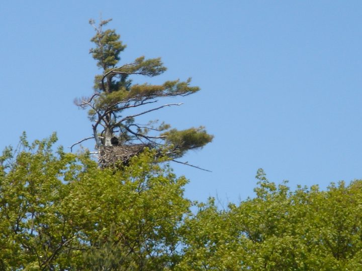 DSC00406