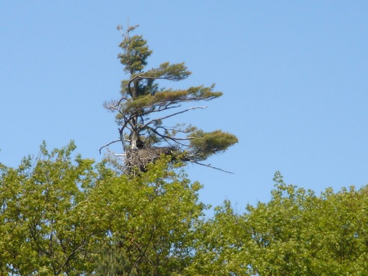 DSC00405