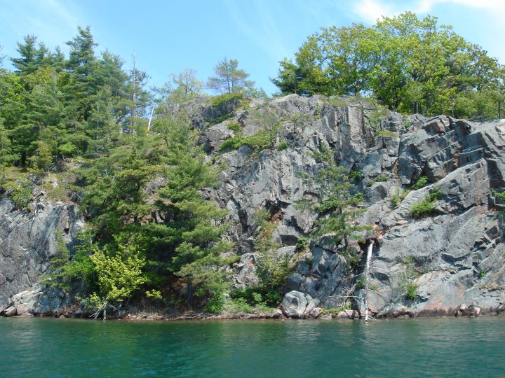 DSC00403