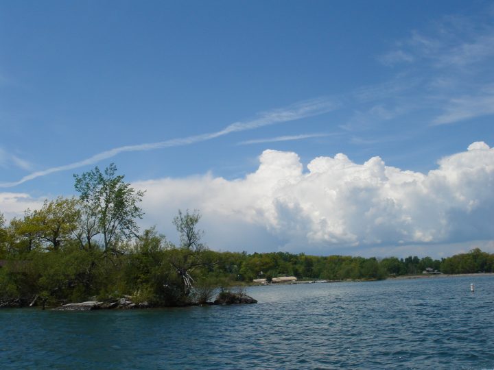 DSC00378