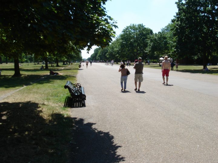 DSC08621.JPG