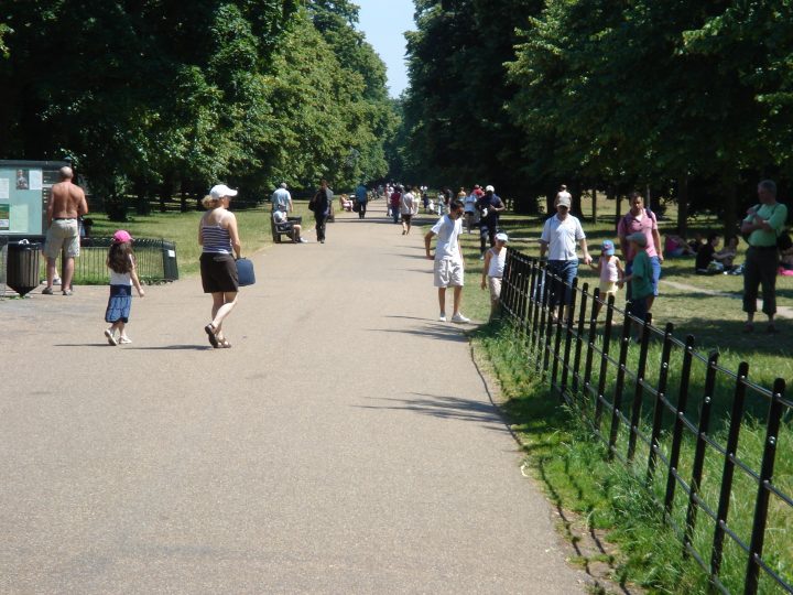 DSC08624.JPG