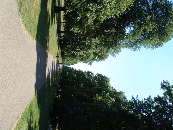 Untitled Photo 197