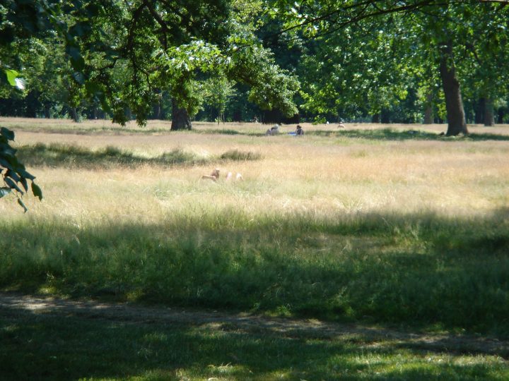Untitled Photo 30