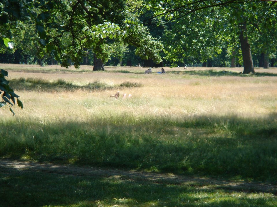 Untitled Photo 30
