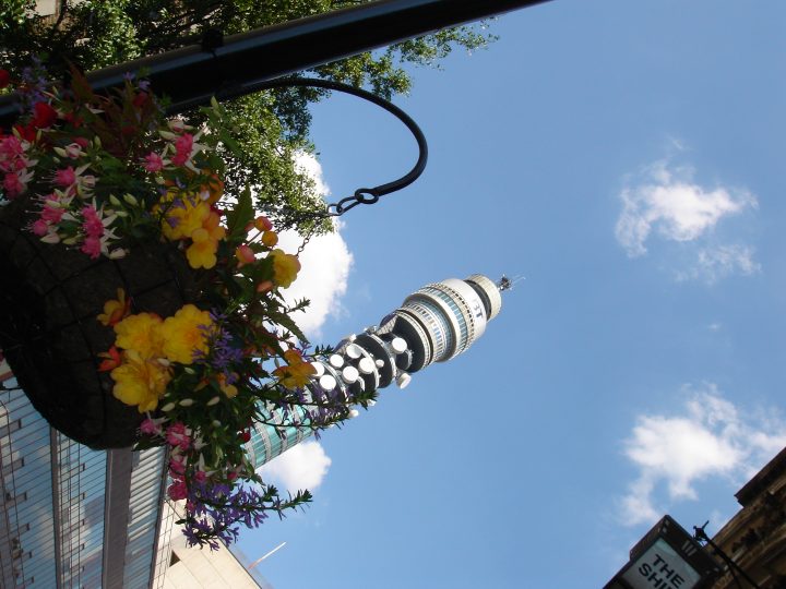 Untitled Photo 19