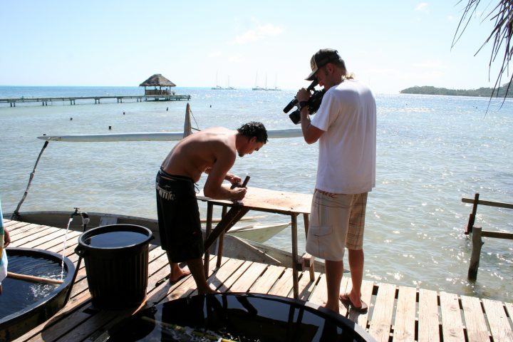 Tahitian Oysters