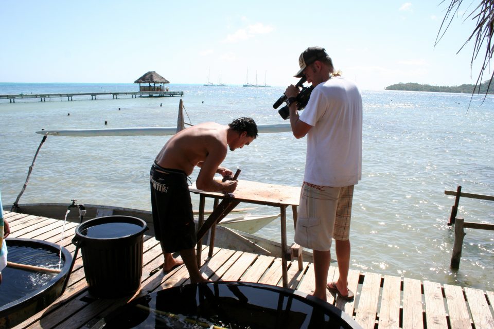 Tahitian Oysters