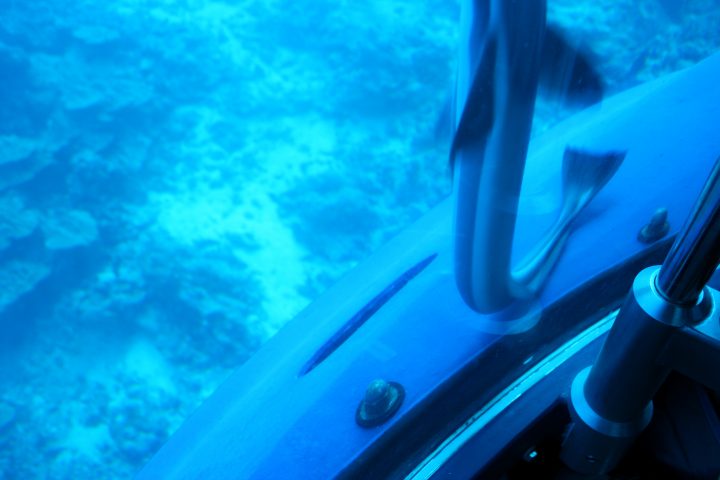 Untitled Photo 4500