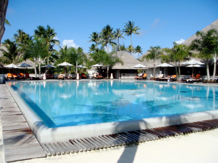 relaxing pool bora bora palm trees