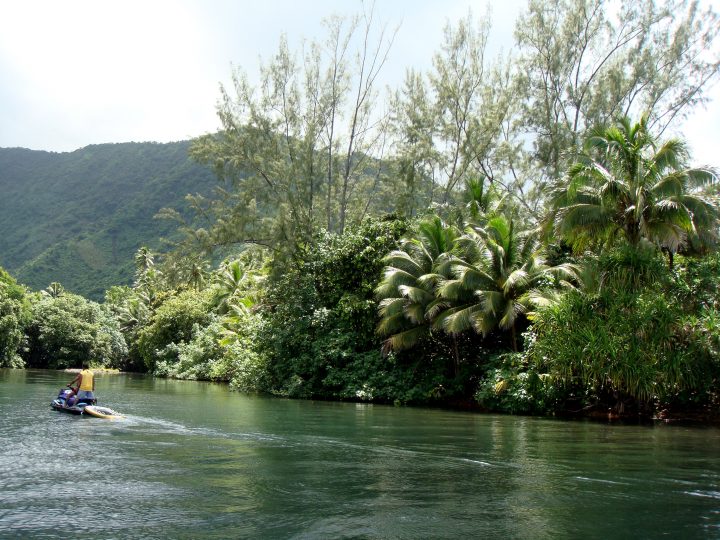 Untitled Photo 4546