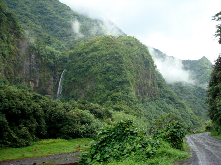 Untitled Photo 4305
