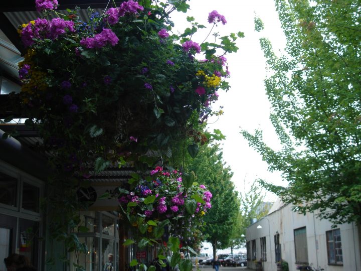 DSC01265