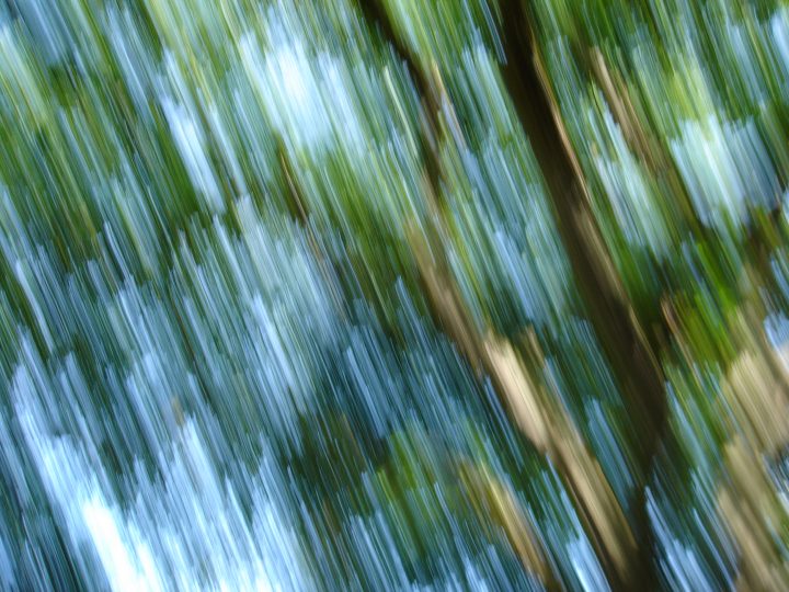 DSC01151