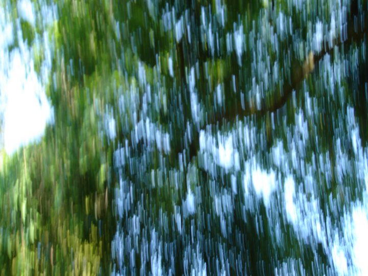 DSC01152