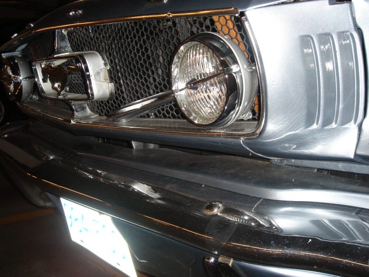 Mustang