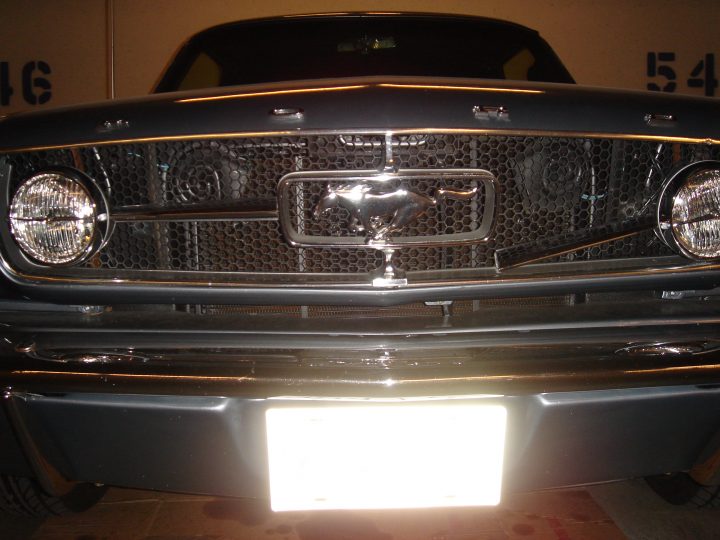 Mustang