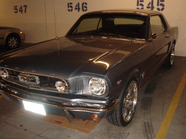 Mustang