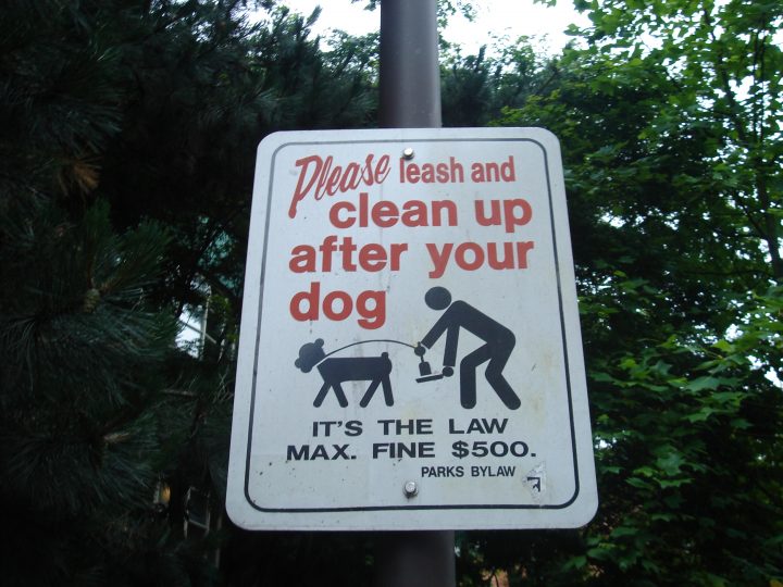 Poop Signs are Funny