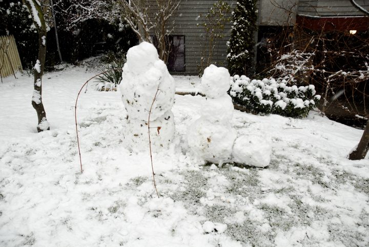Snow Day In Vancouver