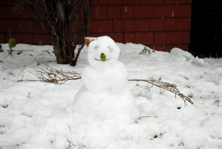 Snow Day In Vancouver