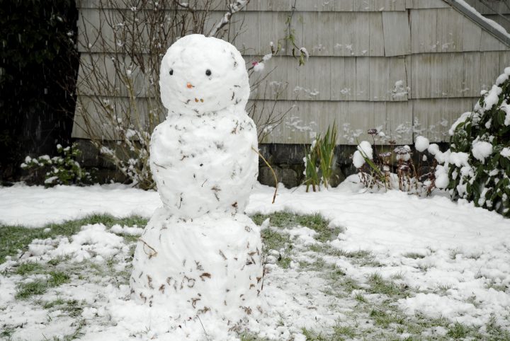 Snow Day In Vancouver