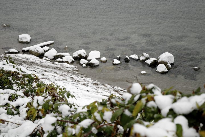 Snow Day In Vancouver