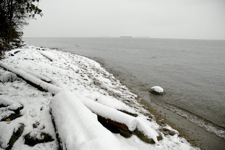Snow Day In Vancouver