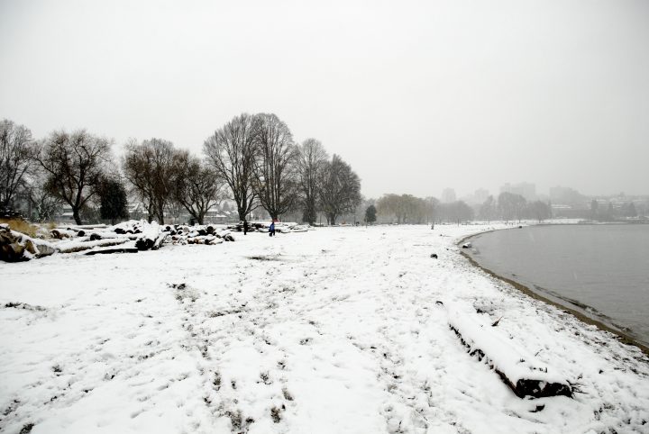 Snow Day In Vancouver