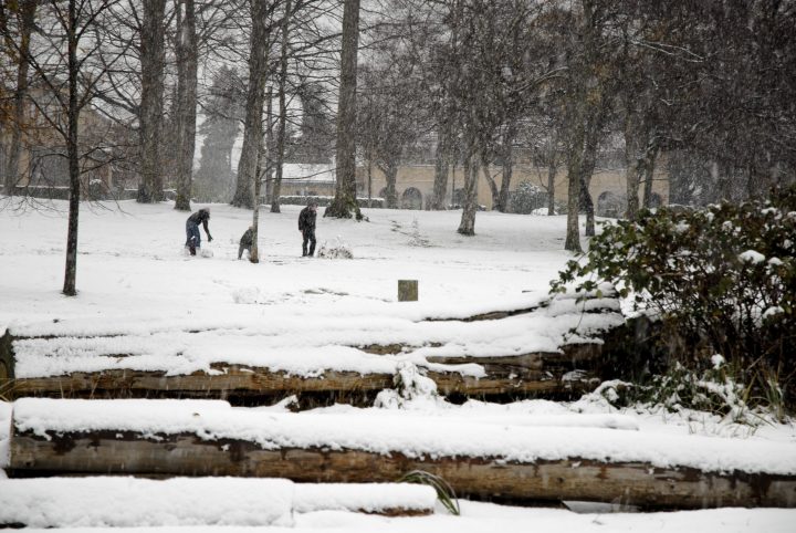 Snow Day In Vancouver