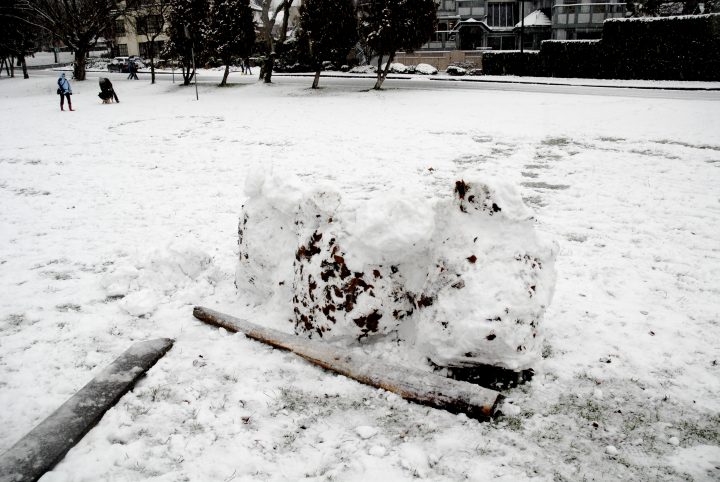 Snow Day In Vancouver