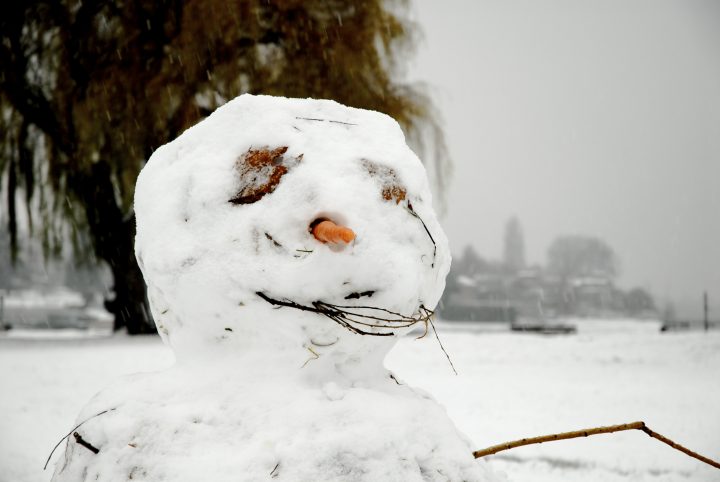 Snow Day In Vancouver