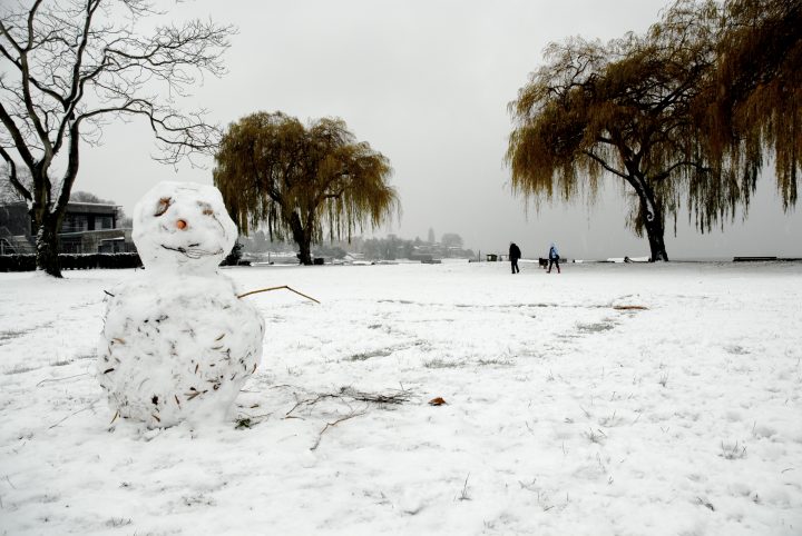 Snow Day In Vancouver