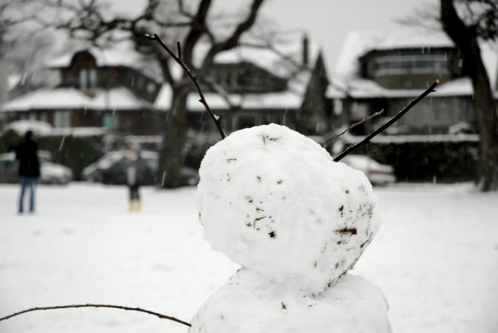 Snow Day In Vancouver